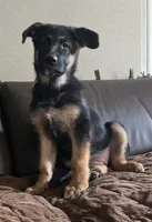 processed/5adbe91d-1293-47d5-9464-05393fd32ae3/listing/71b564f6-02fe-495e-adf0-649e316477cb/84c93de2-ad77-472b-ae64-dfea555210ab