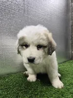 processed/5aed6b7a-5c1a-4273-9c52-c822652b3ac7/listing/05369a35-8f37-469c-95c7-9928c7e82feb/2d2e2cb5-d6d4-4759-9c50-6fe4ea54250f