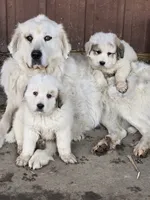 processed/5aed6b7a-5c1a-4273-9c52-c822652b3ac7/listing/7c80cec4-f749-471a-9538-1e7a946b82b0/28cc8f14-38e6-4477-b58a-6781bdf9578a