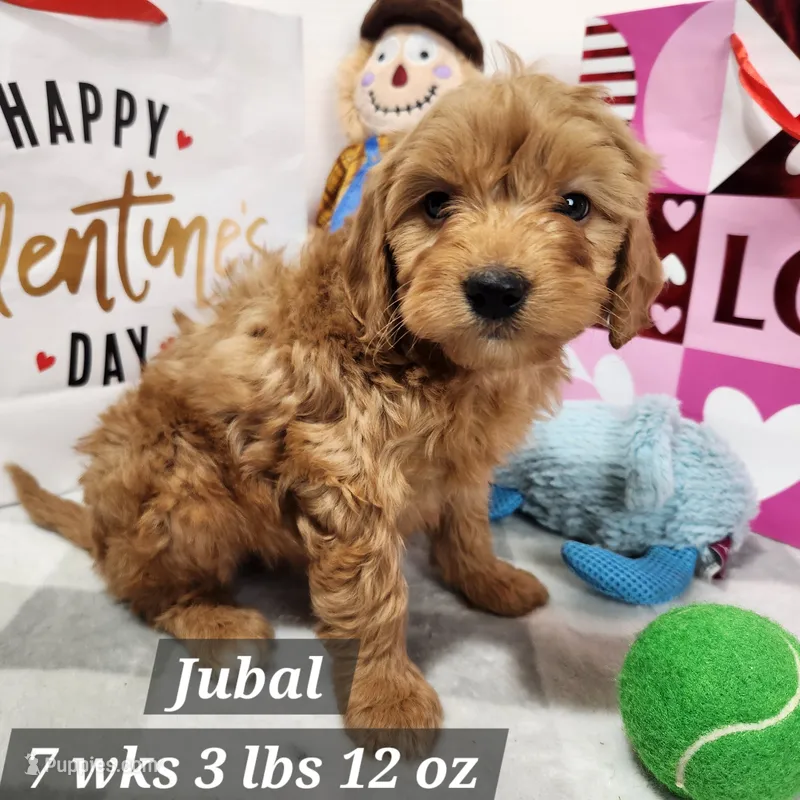 F1b Miniature  Jubal