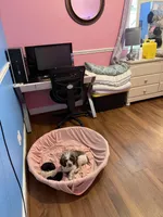 processed/5afa97f6-2cdd-47c0-b701-0e18ab84cd3b/facility/2ae365f5-83e2-486d-9187-7c7d530c576b