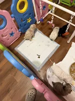 processed/5afa97f6-2cdd-47c0-b701-0e18ab84cd3b/facility/392dfecf-0e29-4f21-b151-613cf747725f