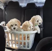 processed/5afa97f6-2cdd-47c0-b701-0e18ab84cd3b/facility/580b6df9-993b-4f31-9d92-b91aced3902a