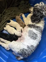 processed/5afa97f6-2cdd-47c0-b701-0e18ab84cd3b/facility/7c05d143-e274-4fa3-a31b-196e741fe00d