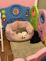 processed/5afa97f6-2cdd-47c0-b701-0e18ab84cd3b/facility/c800d5e7-a40f-4cdc-a3cf-2b4ec94f7b39