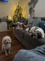 processed/5afa97f6-2cdd-47c0-b701-0e18ab84cd3b/facility/f7eb96fb-a919-47ca-801a-b50c0dee021f