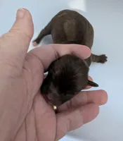 processed/5b06632c-1649-4e1b-9f7a-0ff77287f6e8/listing/0b158c88-d2c2-42e7-bf02-4a5bc94fce4f/205bc019-08b4-4d04-84c9-6105acb89cc8