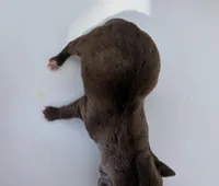 processed/5b06632c-1649-4e1b-9f7a-0ff77287f6e8/listing/0b158c88-d2c2-42e7-bf02-4a5bc94fce4f/a04cf173-a11c-478a-ad05-5e896875138b