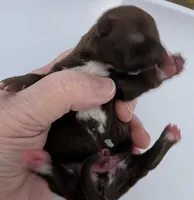 processed/5b06632c-1649-4e1b-9f7a-0ff77287f6e8/listing/0b158c88-d2c2-42e7-bf02-4a5bc94fce4f/e178d627-b25e-47a7-a00c-437a4e53c2fb