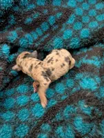 processed/5b06632c-1649-4e1b-9f7a-0ff77287f6e8/listing/8fc447c7-3bf6-4b28-a5ad-3d2c102e0f4f/29084a89-a71d-47f9-ab24-19f4c0668e69