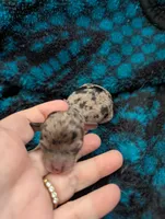 processed/5b06632c-1649-4e1b-9f7a-0ff77287f6e8/listing/8fc447c7-3bf6-4b28-a5ad-3d2c102e0f4f/39c17386-64c3-4a8c-8dc2-9c85f5616ba5