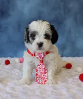 processed/5b0dcb99-9884-47dd-b251-c54a38824ed0/listing/07ae1e10-2301-4baa-8999-791c630a3f2f/0689d9ff-fee4-4763-8726-c1a05f4fc510