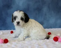 processed/5b0dcb99-9884-47dd-b251-c54a38824ed0/listing/07ae1e10-2301-4baa-8999-791c630a3f2f/5901e0b5-568b-4e40-b28f-389cefdecdc9