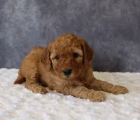 processed/5b0dcb99-9884-47dd-b251-c54a38824ed0/listing/166b2c89-9650-493e-b251-fde60f51b5e6/23d3e3b0-f037-4f82-83d4-74b5d4114da2