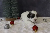 processed/5b0dcb99-9884-47dd-b251-c54a38824ed0/listing/4563f740-39ee-455c-88d3-6c466f77840c/1beb4a6f-18cd-4fac-bc7d-64219cfbac74