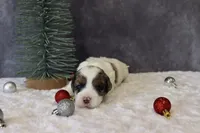 processed/5b0dcb99-9884-47dd-b251-c54a38824ed0/listing/4563f740-39ee-455c-88d3-6c466f77840c/9e7f0f92-7dad-4349-9a3c-046c94e0584e