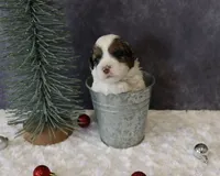 processed/5b0dcb99-9884-47dd-b251-c54a38824ed0/listing/4563f740-39ee-455c-88d3-6c466f77840c/a1833fe3-d2e1-42c8-aca4-7c8faafcaaf6