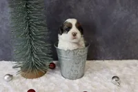 processed/5b0dcb99-9884-47dd-b251-c54a38824ed0/listing/4563f740-39ee-455c-88d3-6c466f77840c/f5418755-a355-4cfd-8503-d7509a096e13