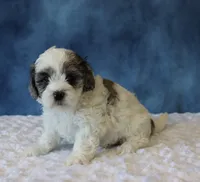 processed/5b0dcb99-9884-47dd-b251-c54a38824ed0/listing/7fc36303-332d-46b2-a4ca-d71ffa0f4d27/5bd8b8f8-8822-44ad-bdcf-812cc1025d9d