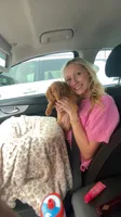 Hazel, a female Miniature Dachshund for sale in Loganville, GA – 6 of 7