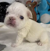 processed/5b181145-3b54-4d7f-b355-be41130ac975/listing/81f7ee6b-eabf-40d0-b9c8-1b74c851a8f4/3b3eda3e-7816-4cb7-be88-ca5a1ab9d4d5