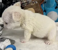 processed/5b181145-3b54-4d7f-b355-be41130ac975/listing/81f7ee6b-eabf-40d0-b9c8-1b74c851a8f4/9180d533-cea9-4dda-be39-3a773ebc129c