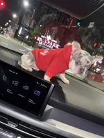 Chole, a female French Bulldog for sale in St. Louis, MO – 5 of 10