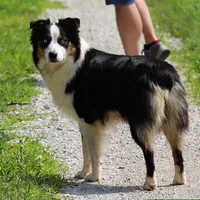 processed/5b2c5fad-8cfc-4fbd-bd4a-ddcec9d5b805/facility/484974ad-a9df-45a2-bb2e-d9c7ba3a5553