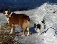 processed/5b2c5fad-8cfc-4fbd-bd4a-ddcec9d5b805/facility/98b8cc64-102f-440f-9c3d-bdc069e39713