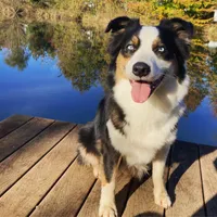 processed/5b2c5fad-8cfc-4fbd-bd4a-ddcec9d5b805/facility/b4b22ac0-1867-4e68-8f9b-b9902dd63412