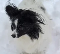 processed/5b2c5fad-8cfc-4fbd-bd4a-ddcec9d5b805/facility/df28546c-4338-4bab-b4f0-fa533ed0e072