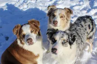 processed/5b2c5fad-8cfc-4fbd-bd4a-ddcec9d5b805/facility/e0a956a5-395f-4c77-ba4c-43d3b87746e0