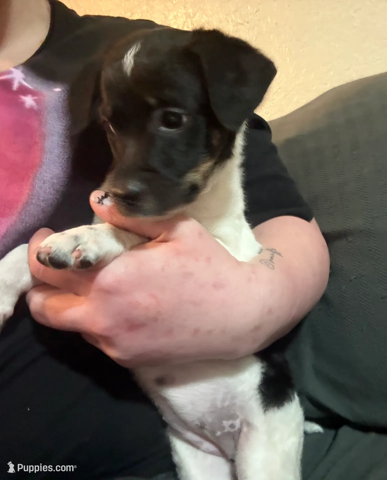 processed/5b2ce18b-05da-4295-8295-67ea00435eb5/listing/49872b8c-cb85-4251-81f3-2f592f325101/19f0131d-ba7e-4bce-973c-821a8086d6d7