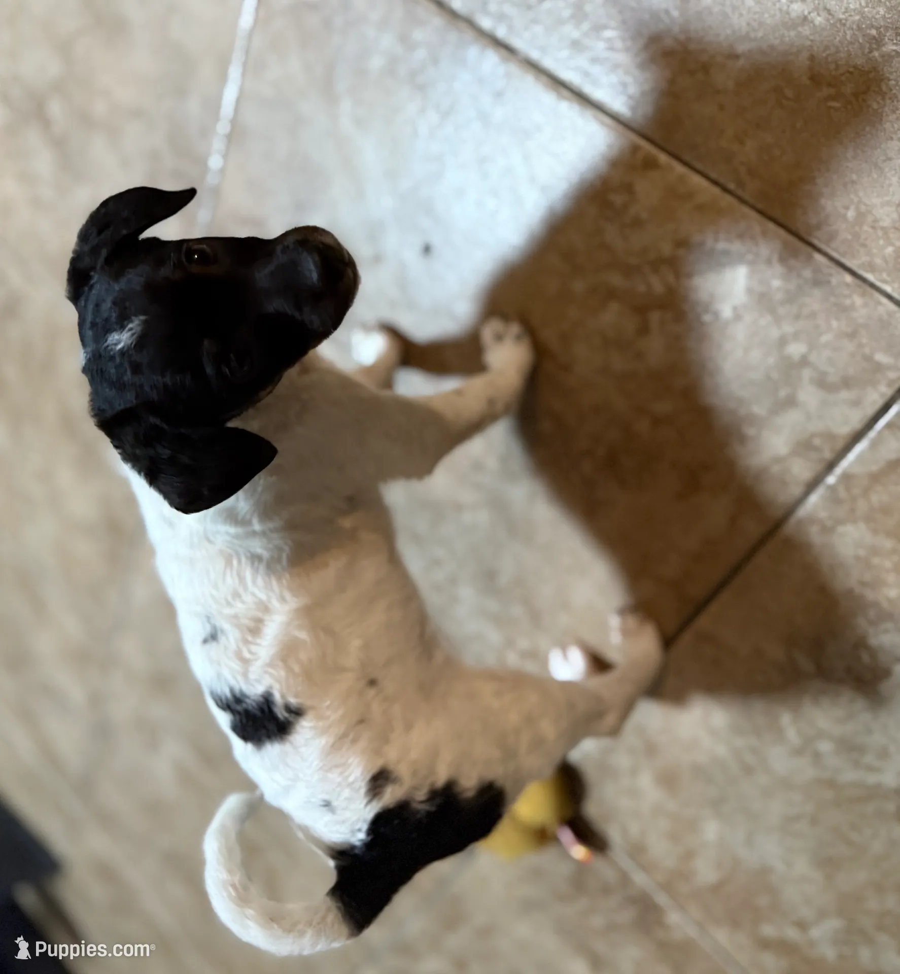 processed/5b2ce18b-05da-4295-8295-67ea00435eb5/listing/49872b8c-cb85-4251-81f3-2f592f325101/3ca3ac48-cffd-49e5-a3dc-f0cc864dd0c8