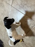 processed/5b2ce18b-05da-4295-8295-67ea00435eb5/listing/49872b8c-cb85-4251-81f3-2f592f325101/8b44b490-bc68-446c-85d1-34dc83d41fb3