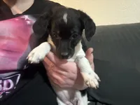 processed/5b2ce18b-05da-4295-8295-67ea00435eb5/listing/49872b8c-cb85-4251-81f3-2f592f325101/a8dc9267-25e0-4926-b187-3918eab6ad53