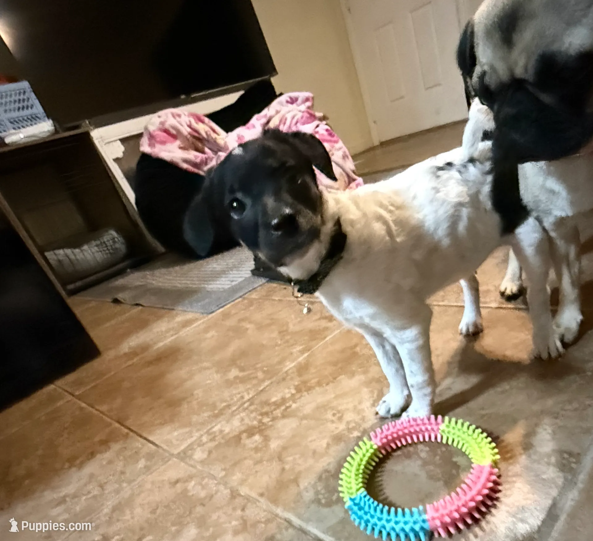 processed/5b2ce18b-05da-4295-8295-67ea00435eb5/listing/49872b8c-cb85-4251-81f3-2f592f325101/ebdeeb98-1888-4477-b96b-71badfd15774