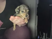 processed/5b2ce18b-05da-4295-8295-67ea00435eb5/listing/5079322a-544e-4713-b8c1-0ecc0c85e5c3/682c9bb1-c48c-4880-82c7-7e9f7a0c32fd