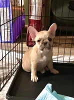 processed/5b30a4fb-c2fe-41bb-a039-32076a26f628/listing/0bddf041-e09e-4947-87da-cd1d1e55fdeb/120e8c09-d260-42e5-9abe-935291affba3