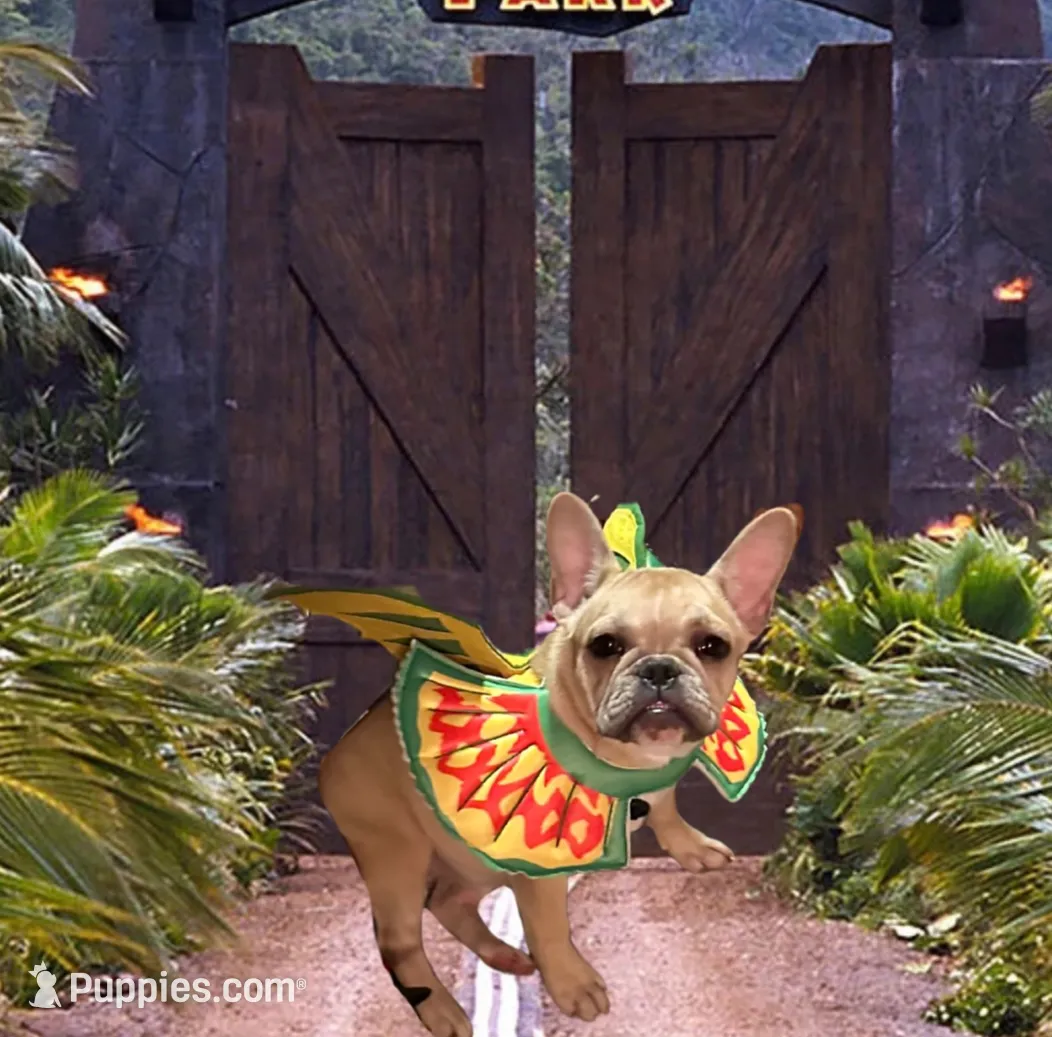 processed/5b30a4fb-c2fe-41bb-a039-32076a26f628/listing/0bddf041-e09e-4947-87da-cd1d1e55fdeb/3deac02b-6dd5-4bcd-9eb2-a719a8165f8c