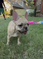 processed/5b30a4fb-c2fe-41bb-a039-32076a26f628/listing/0bddf041-e09e-4947-87da-cd1d1e55fdeb/dbf74800-f236-460a-8475-9afe2b54fe19