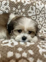 processed/5b3e4b9b-ded7-4c1d-a14e-37815eb93d4a/listing/227d706f-32a7-4fdc-ab2d-5705ec2b8f72/0934e867-87ae-4f23-9ed9-c4261bc70fe7