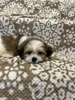 processed/5b3e4b9b-ded7-4c1d-a14e-37815eb93d4a/listing/227d706f-32a7-4fdc-ab2d-5705ec2b8f72/106b54b2-3f22-44ad-8174-72b5fabfc3f7