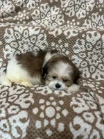 processed/5b3e4b9b-ded7-4c1d-a14e-37815eb93d4a/listing/227d706f-32a7-4fdc-ab2d-5705ec2b8f72/2eddf24b-e4a2-4c71-9e27-069be36607cf