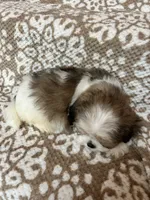 processed/5b3e4b9b-ded7-4c1d-a14e-37815eb93d4a/listing/227d706f-32a7-4fdc-ab2d-5705ec2b8f72/3d84fe3a-3f41-4d12-8892-38ae1ebf2386