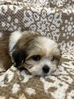 processed/5b3e4b9b-ded7-4c1d-a14e-37815eb93d4a/listing/227d706f-32a7-4fdc-ab2d-5705ec2b8f72/558f018c-8056-48f1-904d-992f6b00825b