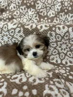 processed/5b3e4b9b-ded7-4c1d-a14e-37815eb93d4a/listing/227d706f-32a7-4fdc-ab2d-5705ec2b8f72/6954b487-869b-4bc3-a162-92ce7c6a7f6a