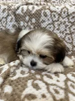 processed/5b3e4b9b-ded7-4c1d-a14e-37815eb93d4a/listing/227d706f-32a7-4fdc-ab2d-5705ec2b8f72/ae18a5ac-953d-4f58-99cd-53e261d7e629