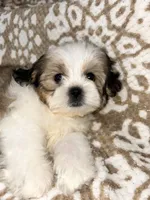 processed/5b3e4b9b-ded7-4c1d-a14e-37815eb93d4a/listing/c7201bae-8bd6-4733-9c98-6ee8d7ab68f7/531e8ca3-4167-4d78-a0e4-dc46dfd63ba7