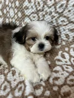 processed/5b3e4b9b-ded7-4c1d-a14e-37815eb93d4a/listing/c7201bae-8bd6-4733-9c98-6ee8d7ab68f7/9052249a-a867-4a6b-8343-3a54c45c61da